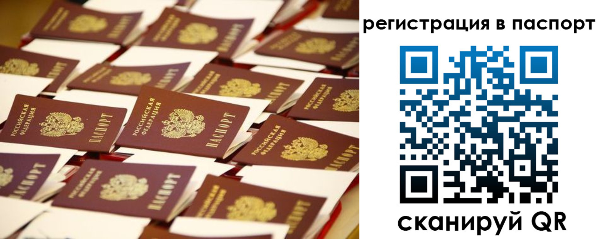прописка гарантия в Очёре